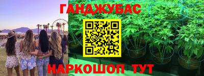 кокс Аша