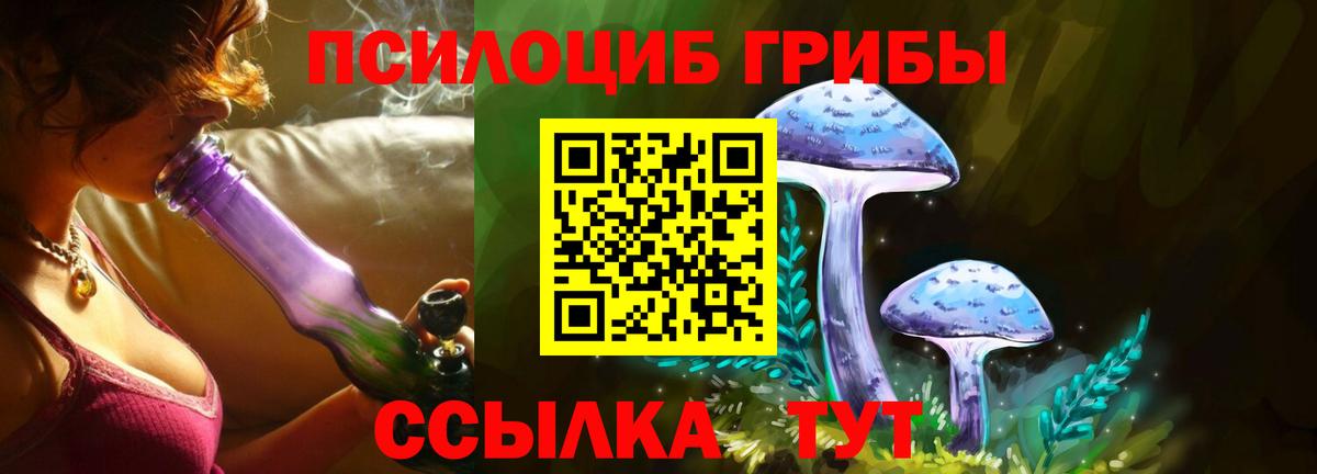 Псилоцибиновые грибы Cubensis  дарнет шоп  Псилоцибиновые грибы Psilocybe  Бузулук  Вход с VPN 